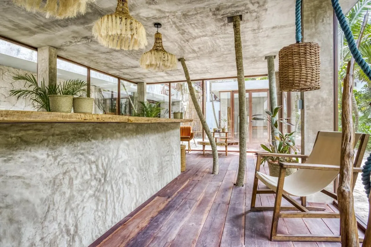 Selina Shared Los Lirios Tulum