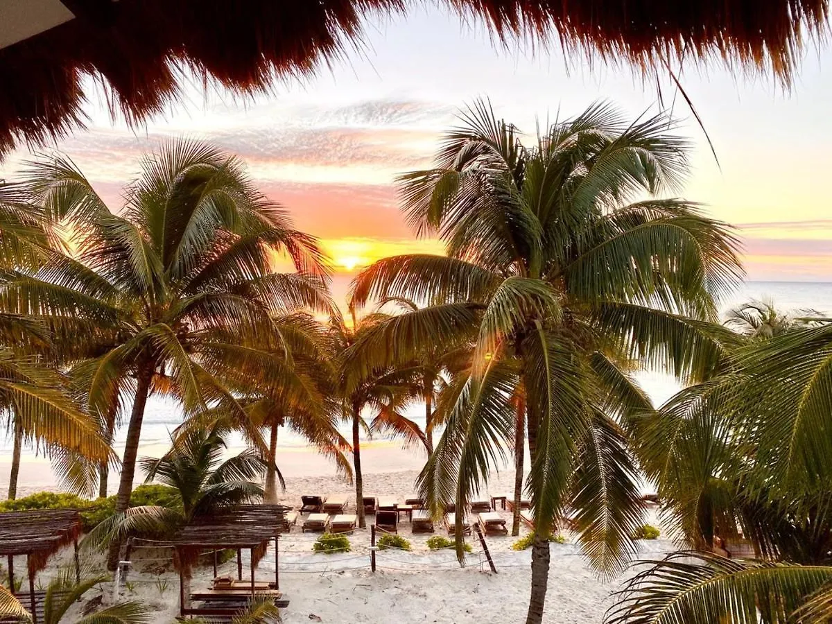 Selina Shared Los Lirios Tulum Hotel